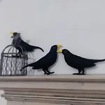 I Tre Merli Apartmán Dolceacqua