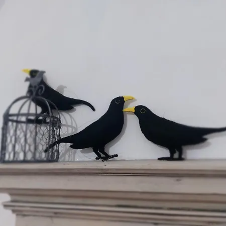 I Tre Merli Апартаменты Дольчеаккуа