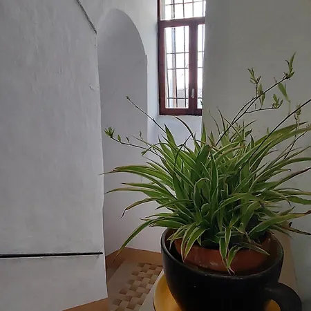 Апартаменты I Tre Merli Дольчеаккуа